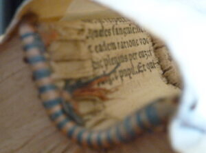 TEXTUS INVISIBILIS